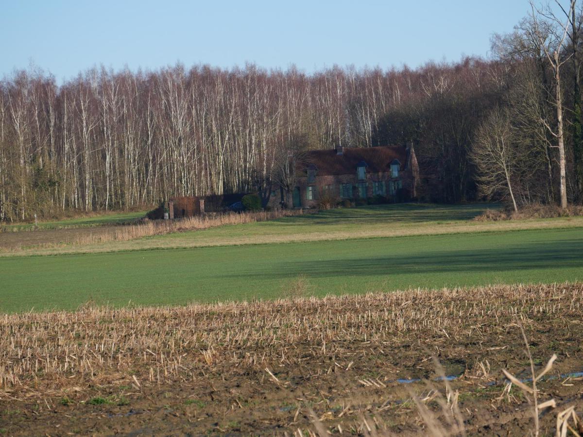 La Cabane Du Chasseur Flines-Les-Mortagne Eksteriør bilde